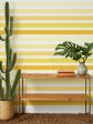 Allan Stripe  Wallpaper by Barbie™ - Gold   Yellow Online Hot Sale