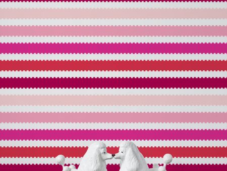 Allan Stripe  Wallpaper by Barbie™ - Magenta   Pink Fashion