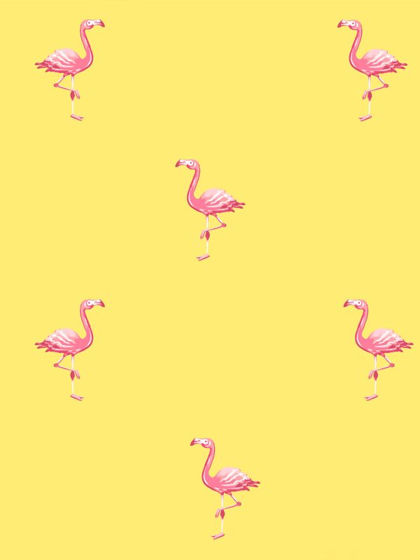 Barbie™ Land Flamingos  Wallpaper by Barbie™ - Yellow Supply