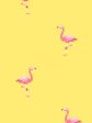 Barbie™ Land Flamingos  Wallpaper by Barbie™ - Yellow Supply