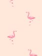 Barbie™ Land Flamingos  Wallpaper by Barbie™ - Peach Supply