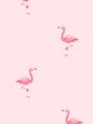 Barbie™ Land Flamingos  Wallpaper by Barbie™ - Piggy Bank Online now