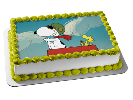 The Snoopy Show Woodstock Edible Cake Topper Image ABPID53876 Online