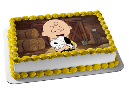 The Snoopy Show Snoopy Hugging Charlie Brown Edible Cake Topper Image ABPID53877 For Sale